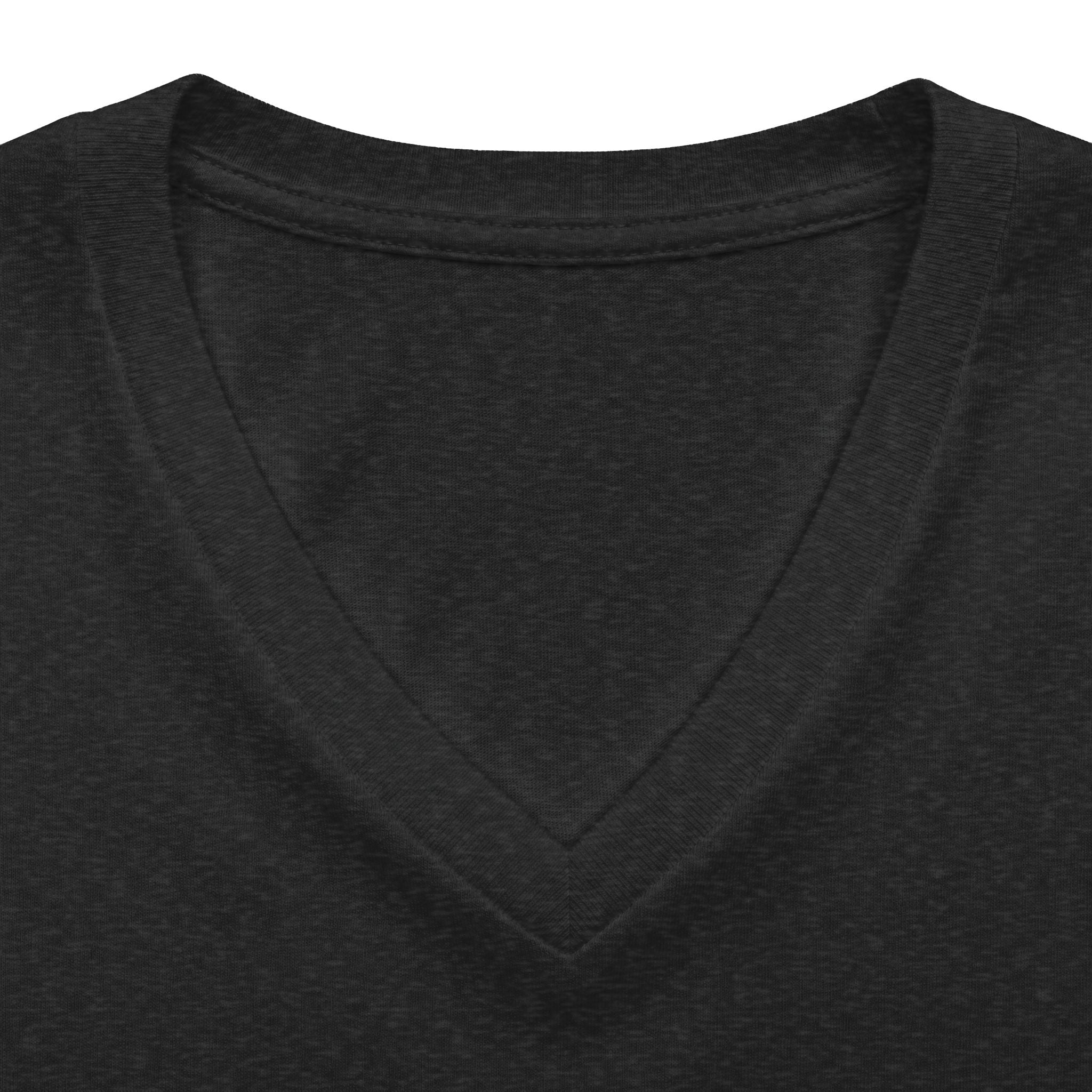 Sister's Trip 2026 V-Neck Tee — Leopard Retro Graphic